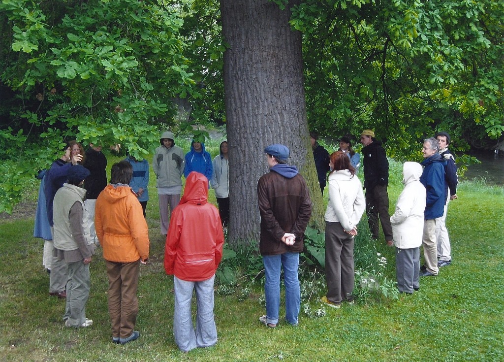 Wahrnehmumg Eiche, Bienenmuseum Weimar